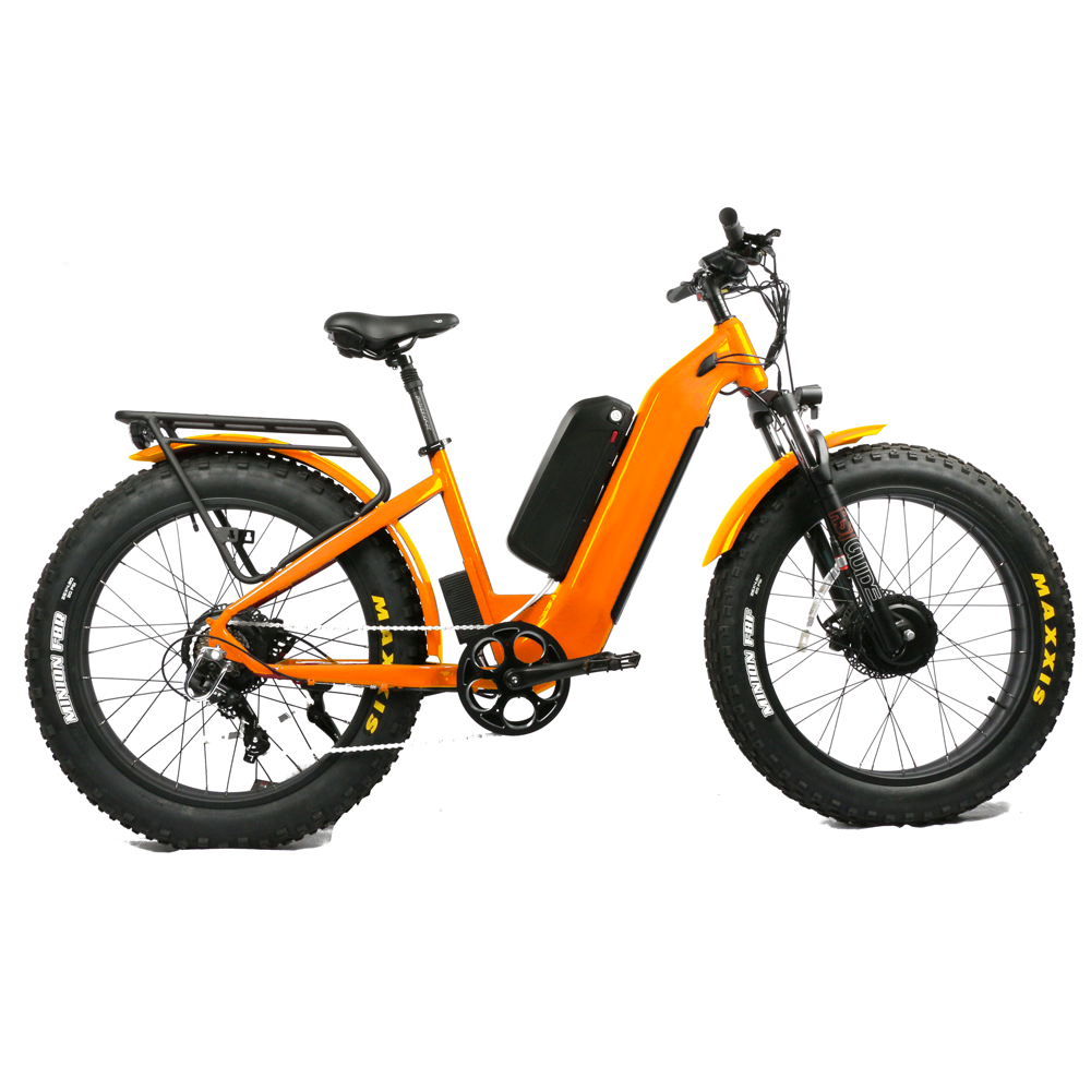 Dual Motor Electric Motorcycle Frame - 저렴한 가격의 1000W 고출력 듀얼 모터