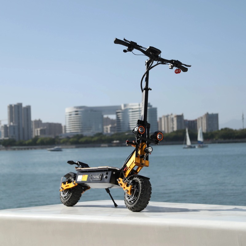 성인용 접이식 듀얼 모터 전기 스쿠터, 베스트 셀러,  - 60V 5600W Dual Motor Electric Scooter 리뷰 및 가격