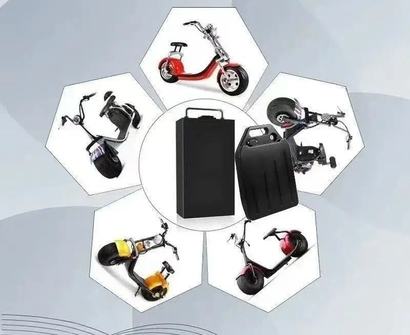 할리 배터리 60V 20Ah 30Ah 40Ah 전기 오 - 60V 30Ah Electric Scooter Battery 리뷰 및 가격