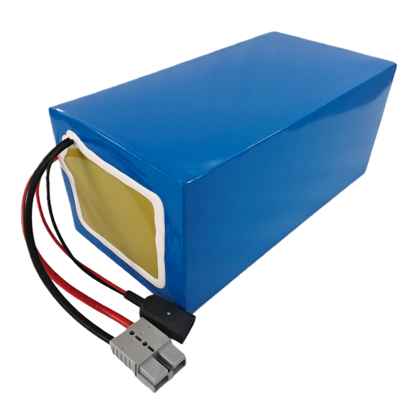 리튬 72V 60Ah 리튬인산철 배터리 팩 BMS 24 - 72V 60Ah Lifepo4 Battery Pack 리뷰 및 가격